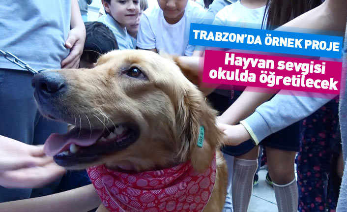 Trabzon'da örnek proje... Hayvan sevgisi okullarda öğretilecek