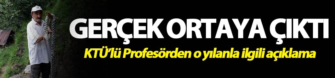 Trabzon'da bulunan yılanla ilgili gerçek ortaya çıktı