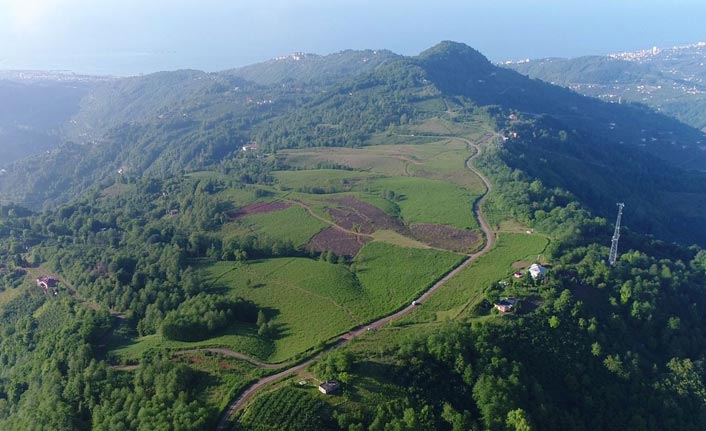 Vakfıkebir'de dağın tepesine Organize Sanayi Bölgesi!