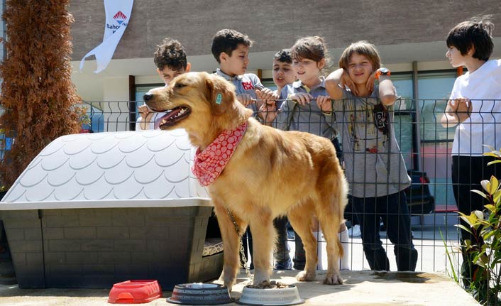 Türkiye Trabzon'da yapılan projeyi konuşuyor