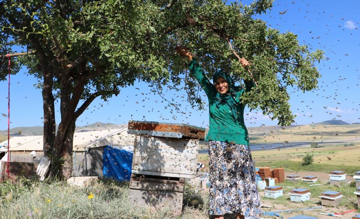 Kadın arıcının akıl almaz cesareti