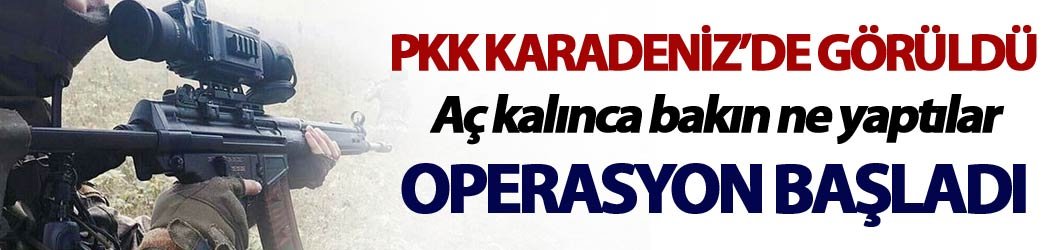 Yalancı çobanın mumu erken söndü - PKK'lılar var dedi ama...