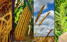 İran'da 18 ürüne ihracat yasağı geldi