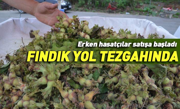 Erken hasat edilen fındık yol tezgahlarına indi