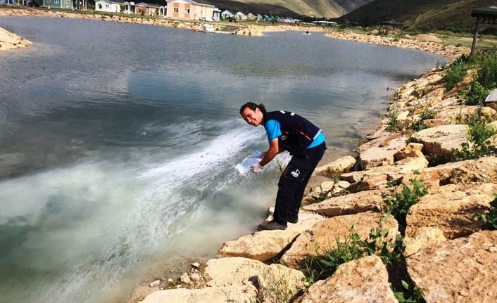 Haşereyle mücadele hız kesmiyor