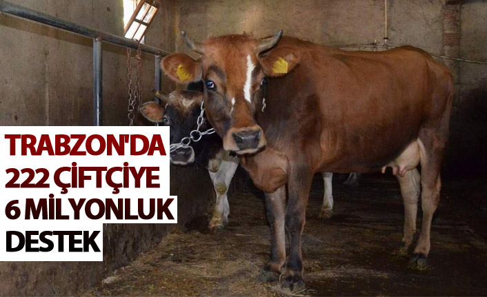 Trabzon'da 222 çiftçiye 6 Milyonluk destek