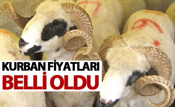 Diyanet 2018 kurban bedelini açıkladı: Yurt içi 850, yurt dışı 625 TL