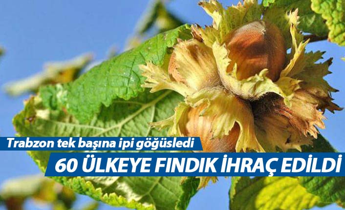 Trabzon’dan 60 ülkeye fındık ihraç edildi