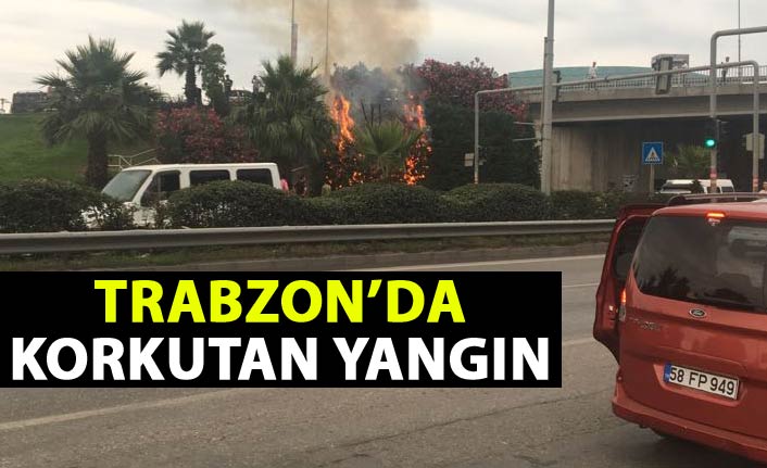 Trabzon'da korkuta yangın