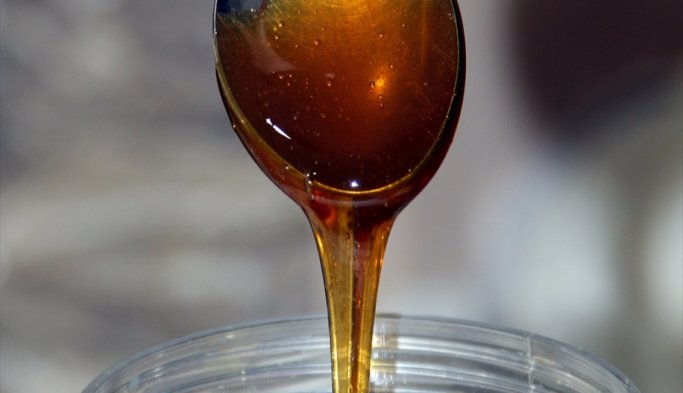 Doğu Karadeniz'den 33 ülkeye bal