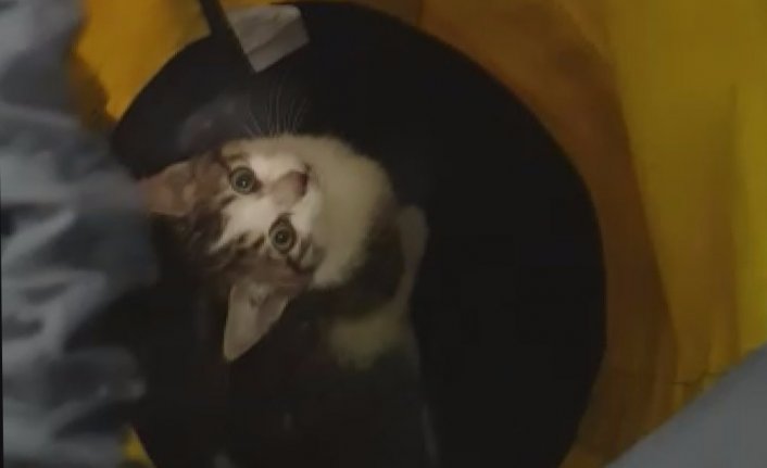 3 gündür kuyuda mahsur kalan kediyi AFAD kurtardı