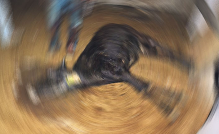 Su kuyusuna düşen inek telef oldu