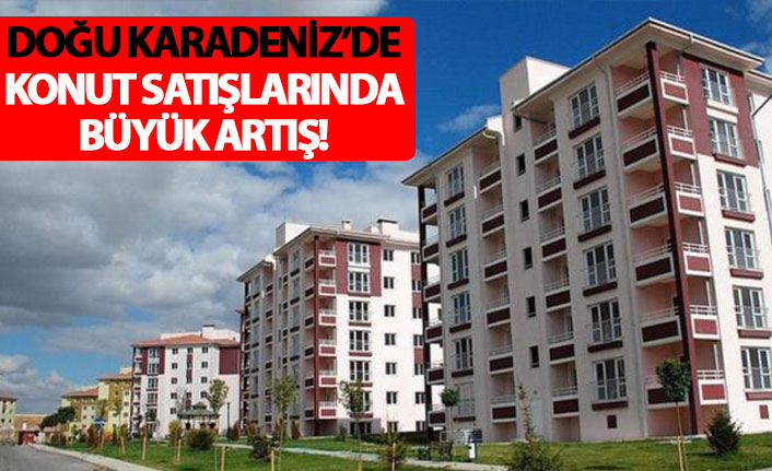 Doğu Karadeniz'de konut satışlarında büyük artış!