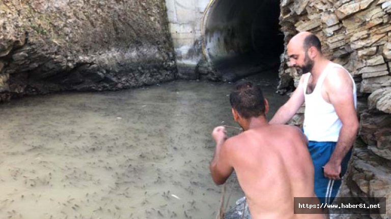 Balık tutmaya gittiler, gördükleri karşısında...