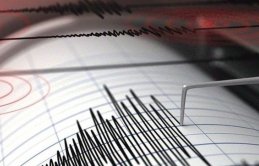 Van depremle sallandı