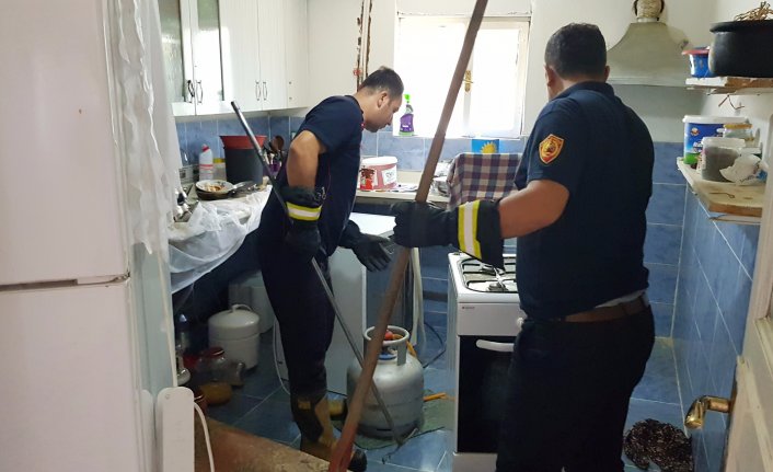 Yılanlar evleri bastı! Köylüler panikte