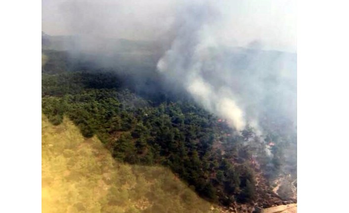 Manisa'nın ciğerleri yanıyor