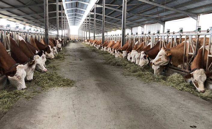 Trabzon'da örnek olacak proje