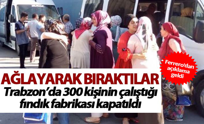 İşçiler kapı önüne kondu - Fındık sektöründe derin sarsıntı