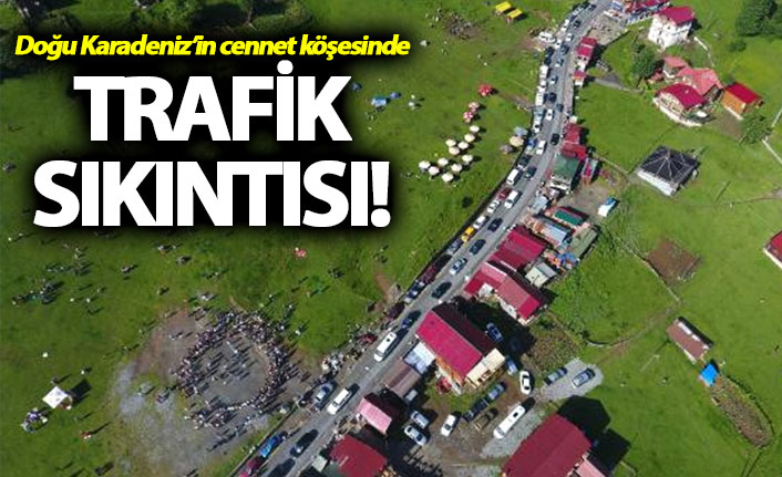 Ayder'e ulaşım sağlanamıyor!