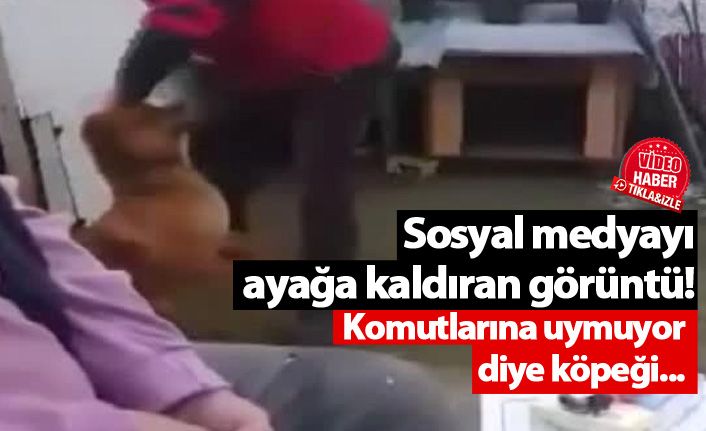 Komutlarına uymadı diye köpeğe vurdu