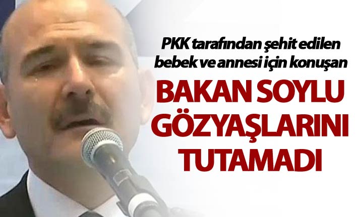 Soylu: "Artık kimse bizim operasyonlarımıza laf söyleyemez"