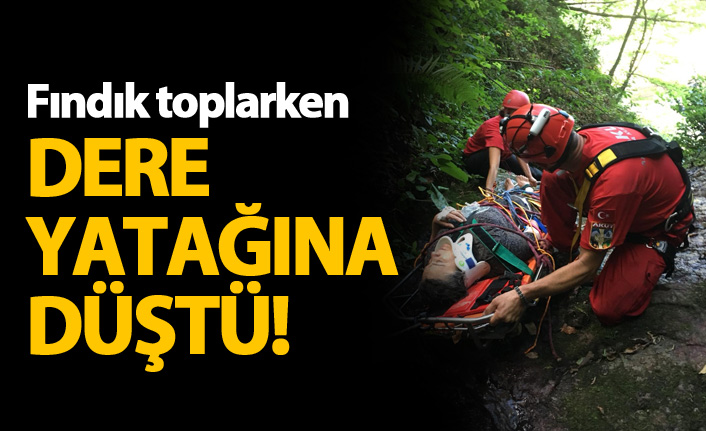 Fındık toplarken dere yatağına düştü