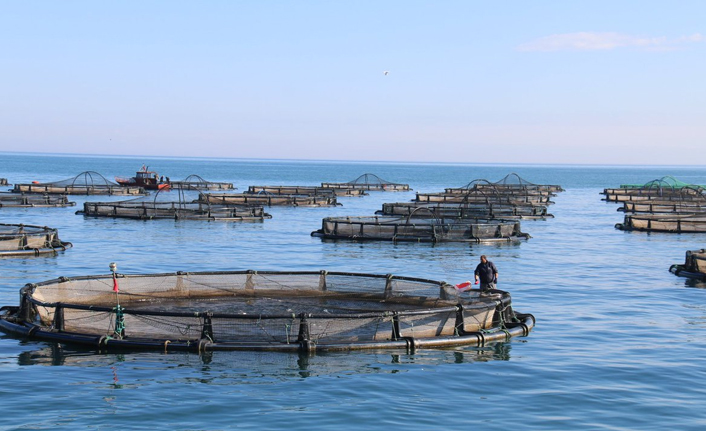 Trabzon ile Özbekistan arasında işbirliği