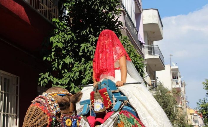 İnternet ile değil develer sayesinde tanışıp evlendiler