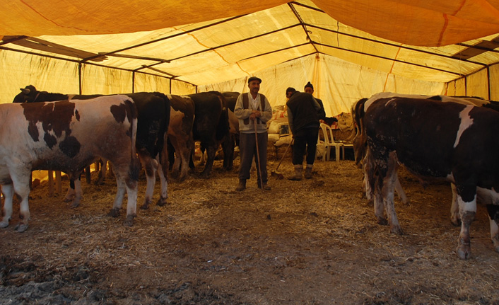Yomra'da kurban satış yeri kuruldu