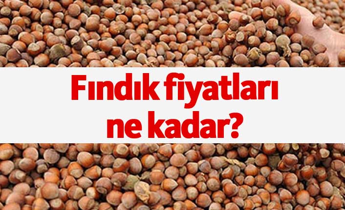 Fındık fiyatları ne kadar oldu? En son fındık fiyatı haberleri