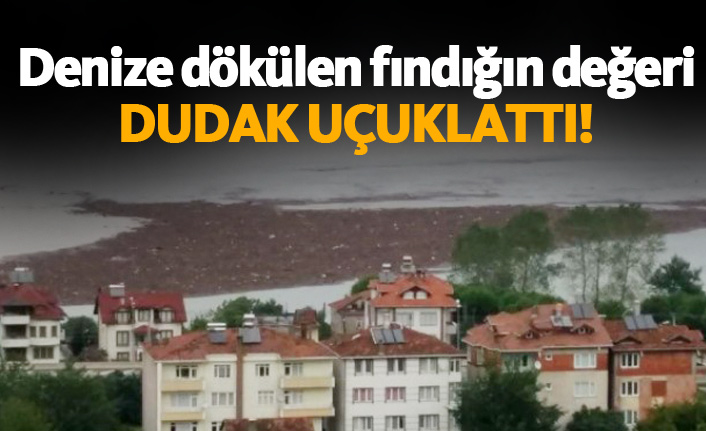 Ordu'da fındık denize döküldü!