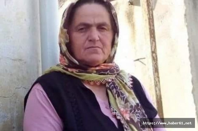 Trabzon'da ağaçtan düşen kadın öldü