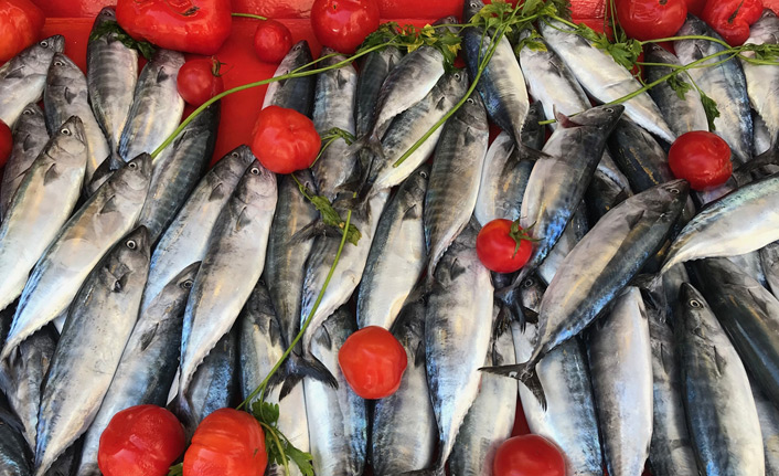 Karadenizli balıkçılar palamuttan umutlu