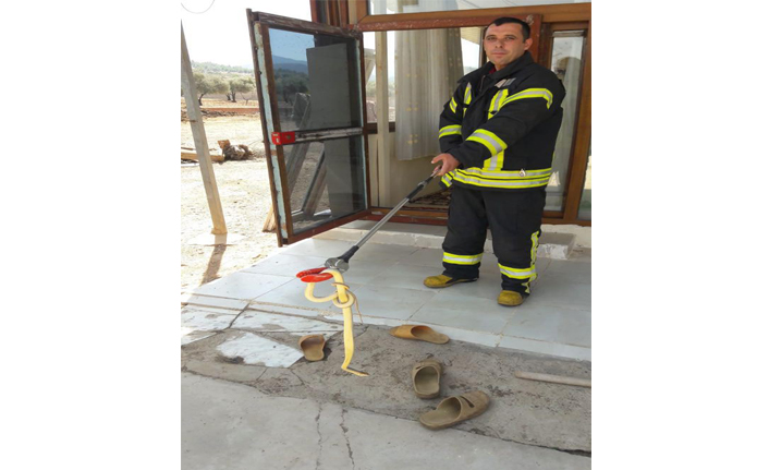 Mutfağa giren yılanı itfaiye yakaladı