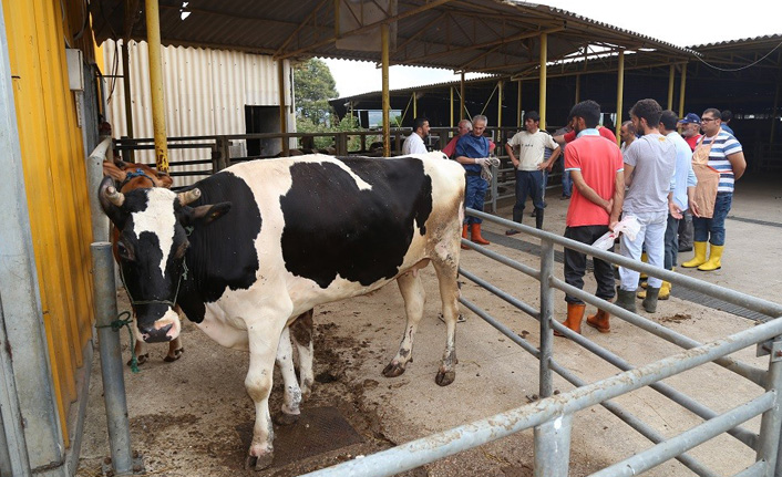 KO-MEK Kurban Elemanlık Kursu açtı