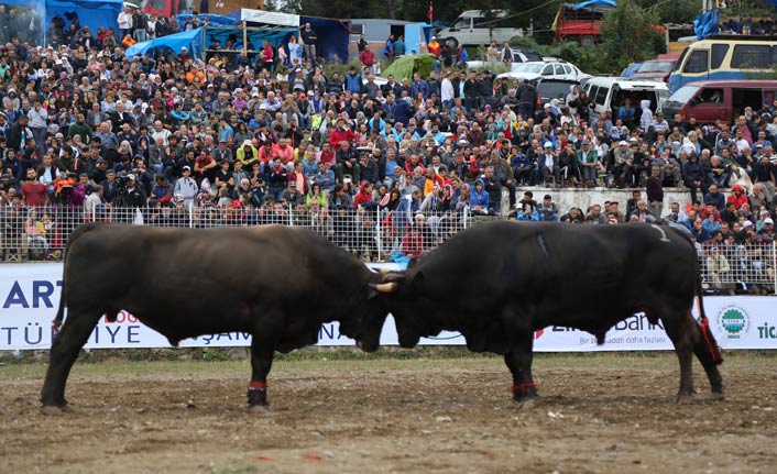 Kafkasör'de Türkiye şampiyonu belli oldu