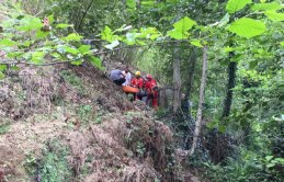 Bahçeyi kontrol ederken uçuruma yuvarlandı
