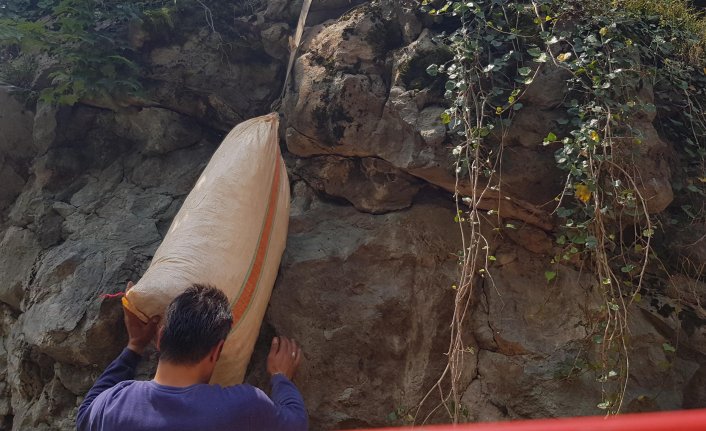 Fındık toplaması ayrı taşıması ayrı dert! İlkel teleferikle...