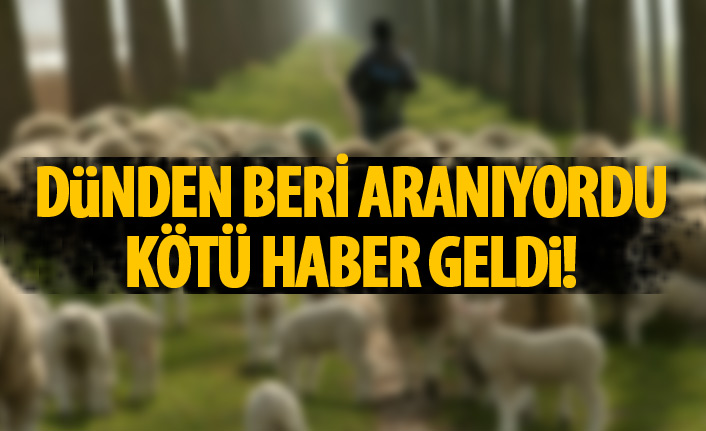 Giresun'da kaybolan çobandan acı haber geldi