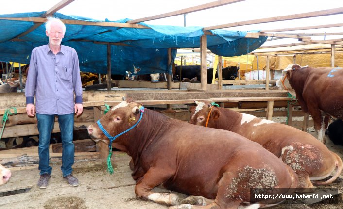 Trabzon'da kurbanlık bereketi