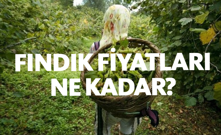 Fındık fiyatlarında son durum ne? Fındık fiyatında yeni gelişme var mı?