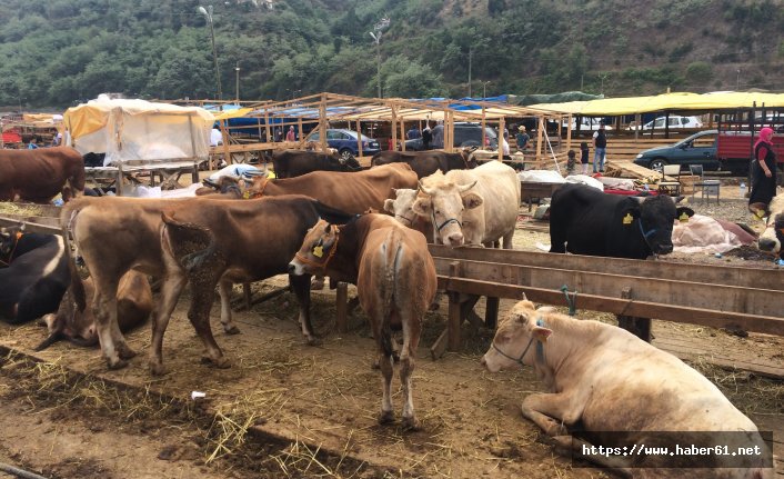 Bayramın ilk günü kurbanlıkların yarısı satıldı