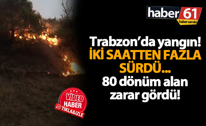 Akçaabat'ta yangın çıktı. 21.08.2018