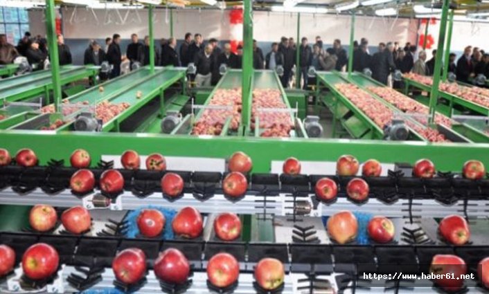 Siirt'ten dünyaya elma ihracatı