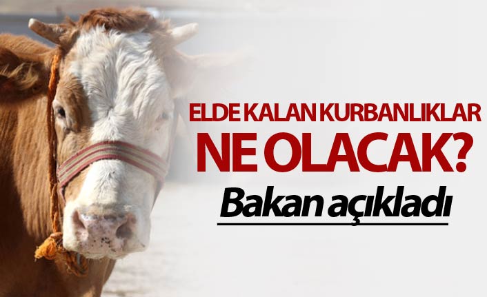 Elde kalan kurbanlıklar ne olacak? Bakan açıkladı