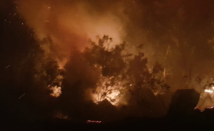Adıyaman’da orman yangını paniğe neden oldu