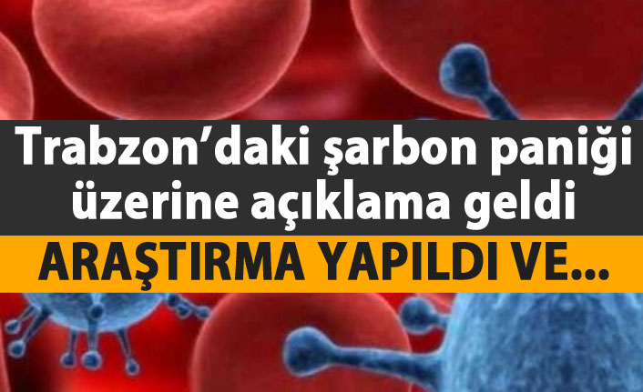 Trabzon'da şarbon paniğinde son dakika! Açıklama geldi