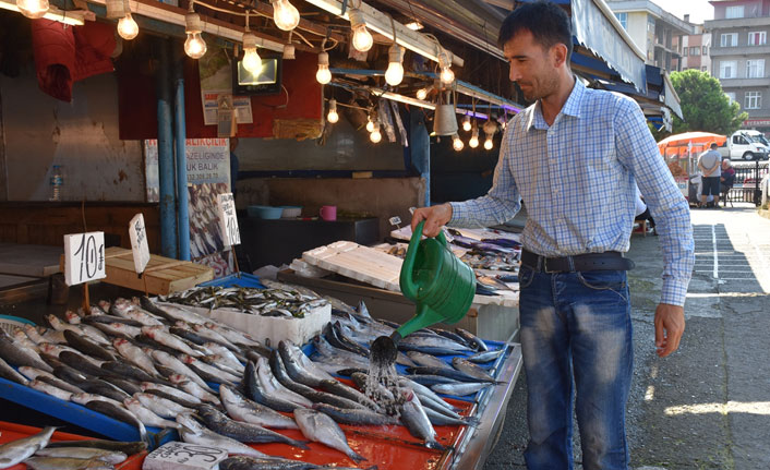 Trabzon'da balıkçıların gözü 1 Eylül'de