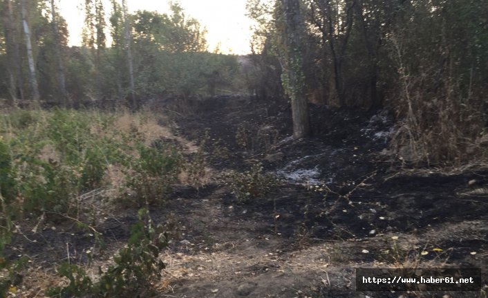 Bahçesindeki otları yakmak isterken kendini yaktı